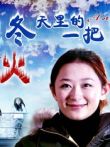 冬天里的一把火电影海报