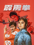 霹雳拳电影海报
