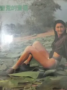 蛮荒的童话（粤语）电影海报