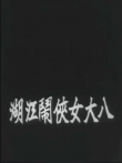 八大女侠闹江湖（上集）电影海报