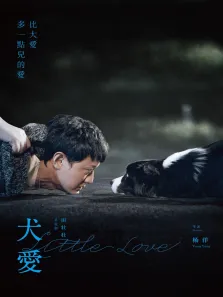 犬爱电影海报