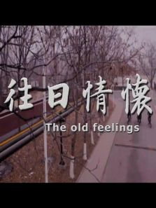 �����黳