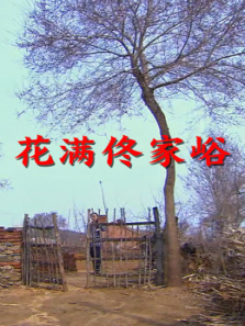 ����١����