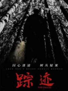 踪迹电影海报