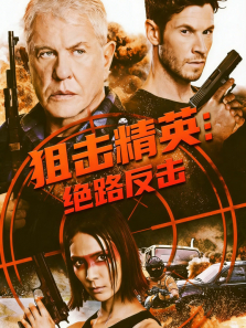 �ѻ���Ӣ:��·��������ͨ����