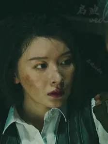 矫健的身手，谍影重重，不一般的动作片（27）电影海报