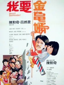 我要金龟婿电影海报