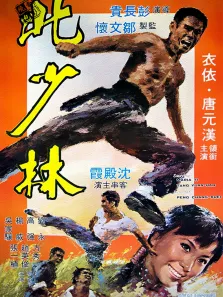 北少林电影海报