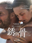 锈与骨电影海报
