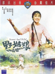 野姑娘电影海报