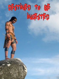 ����ע��2008