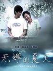 无蝉的夏天电影海报