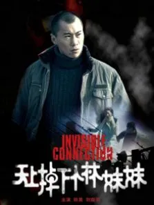 天上掉下个林妹妹电影海报