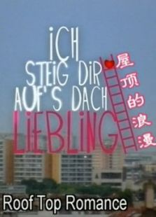 �ݶ�������