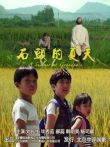 石头的夏天电影海报