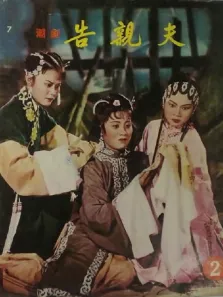 告亲夫电影海报
