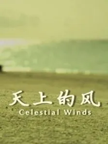 天上的风电影海报
