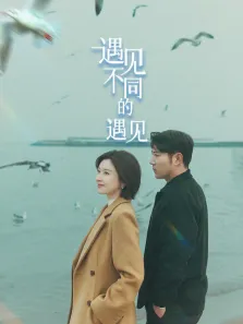 遇见不同的遇见电影海报