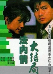 法内情大结局电影海报