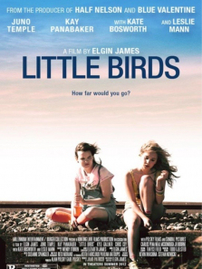 ������һȺСС��