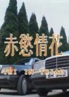 赤欲情花电影海报