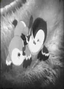 �����ѣ�������