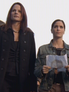 �����ʹ֮��������