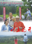 岭上花开电影海报