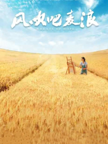 �紵������