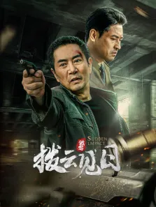 拨云见日电影海报