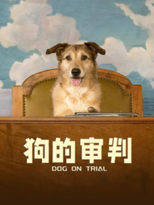 ����������ͨ��