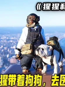 天才猩猩带呆萌狗狗，去医院检查身体，狗狗见到针就躲到椅子底下电影海报