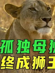 母狮卡莉大战黑鬃三兄弟，遭草原大火，最终团灭黑鬃雄狮成为女王电影海报