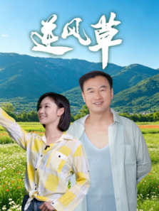 逆风草电影海报
