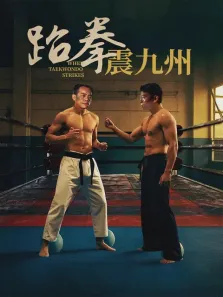 跆拳震九州电影海报