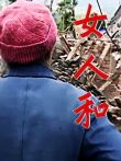 女人和电影海报