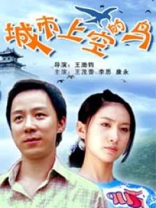 城市上空的鸟电影海报