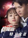 总裁的特工宠妻电影海报