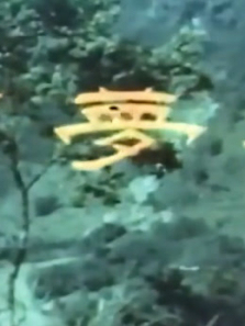 �������޺�1968