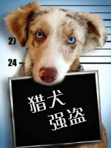 猎犬强盗电影海报