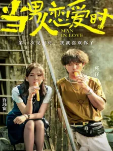 当男人恋爱时闽南语版电影海报
