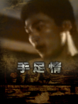 手足情电影海报