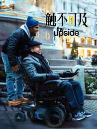 �����ɼ�������