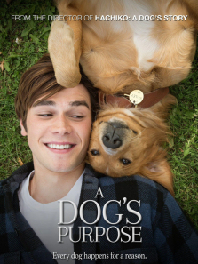 һ������ʹ����ͨ��