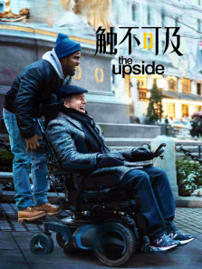 �����ɼ�������