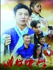乡村儒学电影海报
