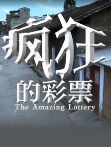 疯狂的彩票（2012）电影海报
