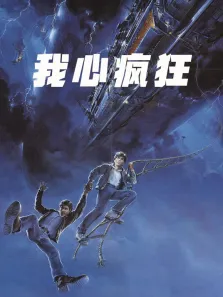 我心疯狂电影海报