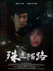 殊途陌路电影海报