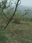 这个地方的景色，怎么样啊，山顶上电影海报